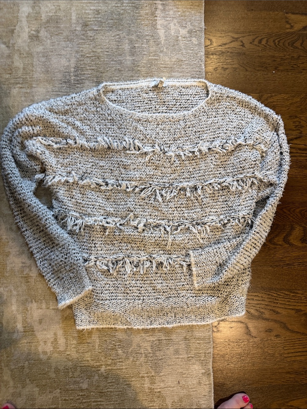 Joie Cream and Gray Fringe Crewneck Sweater